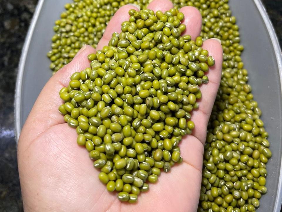 Mungo Verde — Topper Commodities